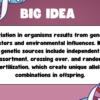Genetic Variation - Image 3